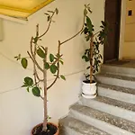 Lara's Appartement